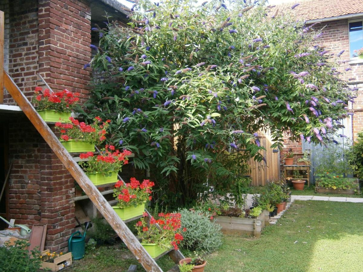 Aux Sources De L'Ancre Bed & Breakfast Miraumont Ngoại thất bức ảnh